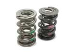 Manley® NexTek® valve springs